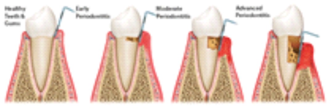 Dental Pharma Products - Image 2